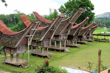 Photo sur Plexiglas Indonésie Palawa, habitations claniques