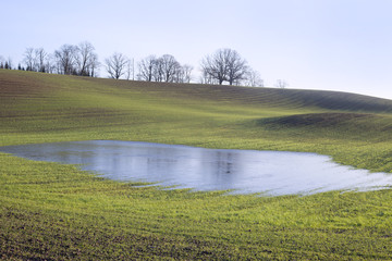 Pool in field.