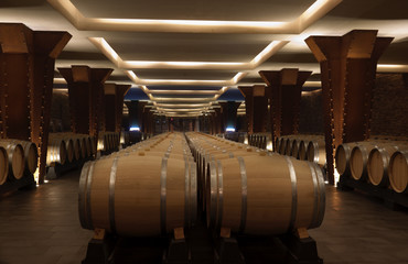 Bodega en la Rioja