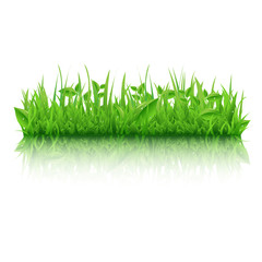 Green Grass With Leafs