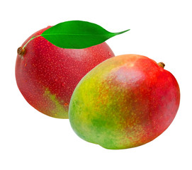 Mango isolated on white background