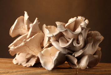 oyster mushrooms wooden table on brown background