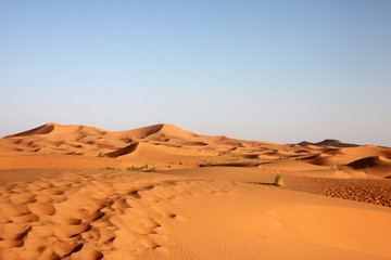 Fototapeta na wymiar Desert Merzouga - Maroko
