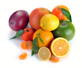 set of citrus  fruits