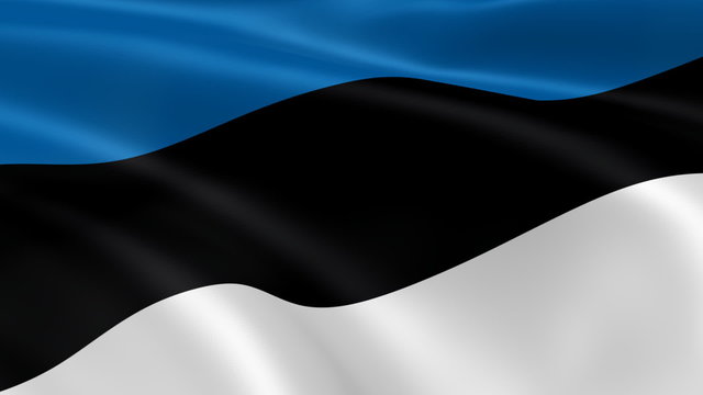 Estonian flag in the wind. Part of a series.