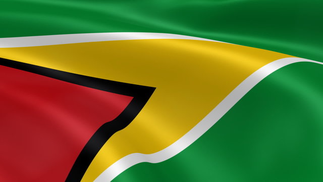 Guyanese flag in the wind. Part of a series.