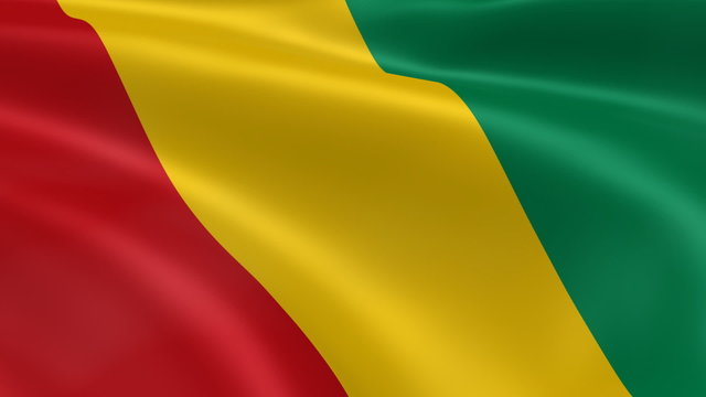 Guinean flag in the wind. Part of a series.