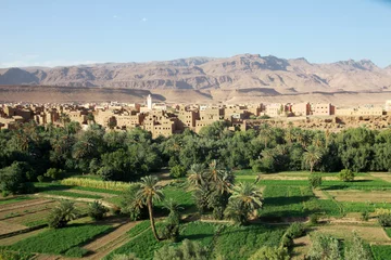 Foto op Canvas Todra-vallei - Marokko © Morenovel