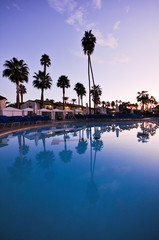 Pool with palm trees and chairs