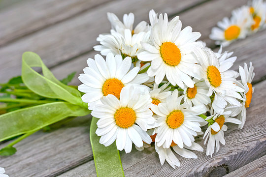 Margeriten Strau&szlig;