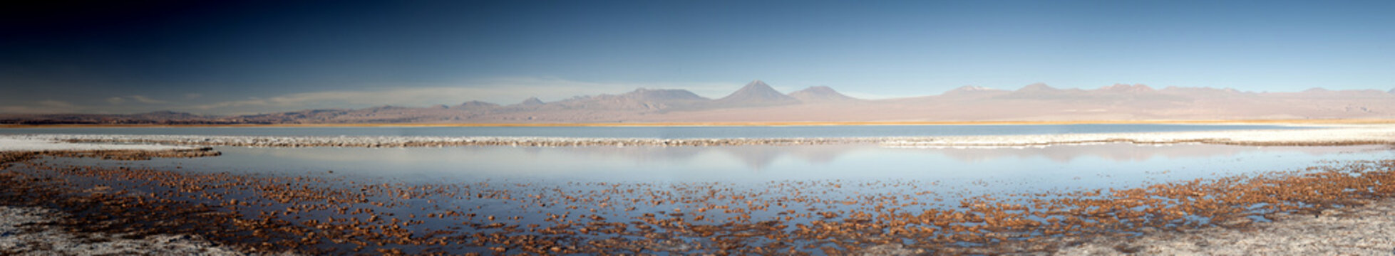 Laguna Miniques, Atacama