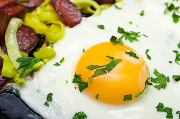 Fried egg