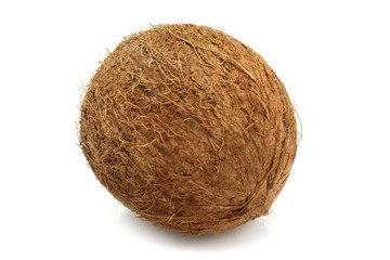 Coconut on white background