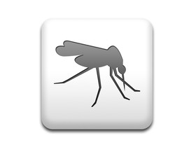 Boton cuadrado blanco mosquito