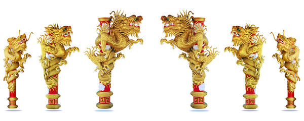 Chinese style dragon on white background