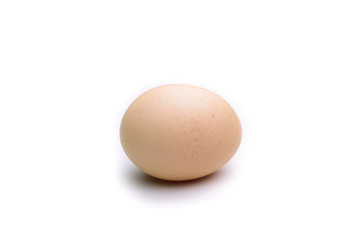 Egg