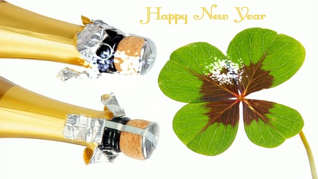 Happy New Year