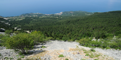 Fototapeta na wymiar Parc Naturel du Biokovo - Tucepi vue depuis le pied du mont Sain