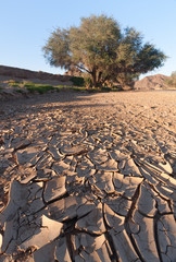 Dried-up River Bed