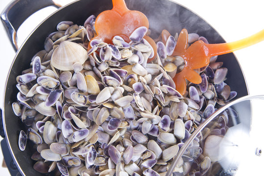 Frutti del mare , Telline