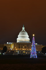 Washington DC - Capitol building and Christmas tree