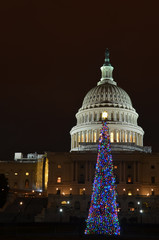 Washington DC - Capitol building and Christmas tree