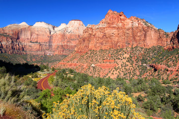 Zion National Park Scenery