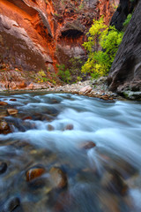 Zion National Park