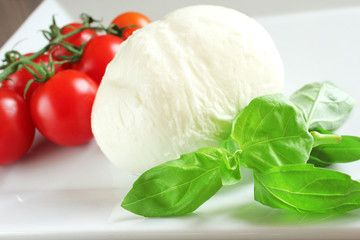 Mozzarella with tomatoes and basil