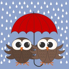 Obraz premium owls with a umbrella