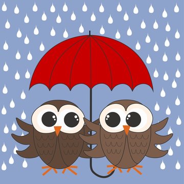 owls with a umbrella