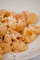 pasta conchiglie rosate close up