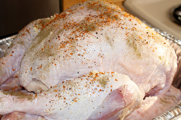 Seasoned uncooked turkey - ready for roasting