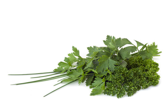 Parsley and Chives