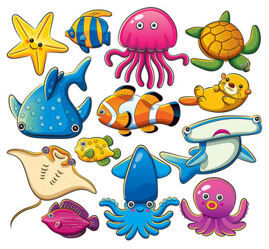 Sea Animals Collection