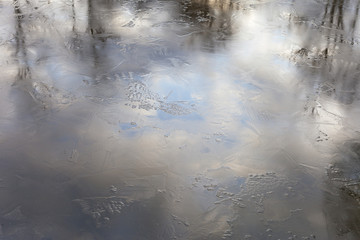 Frozen pond.
