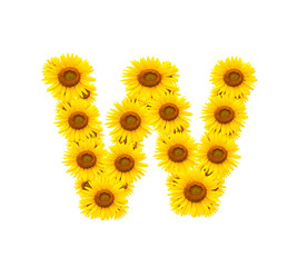 alphabet W, sunflower isolated on white background