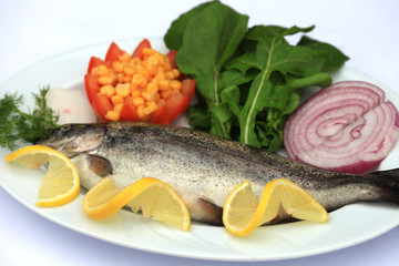 fish background