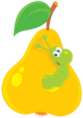 green worm looking out of a hole in a yellow pear