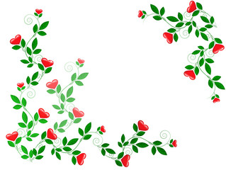 Growing leaves with heart