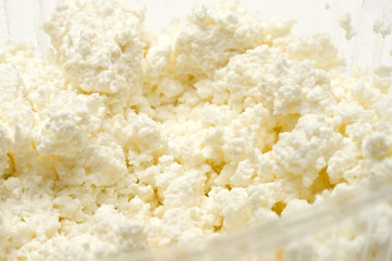 Cottage cheese curd heap on white