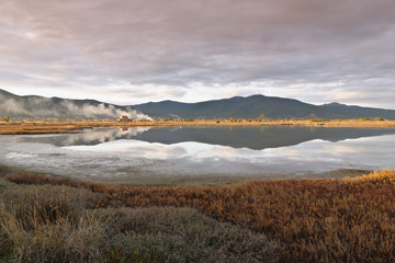 Castiglione della Pescaia - Diaccia Botrona