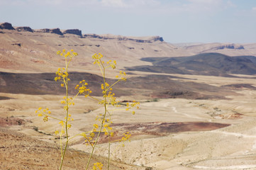 Crater Ramon in Negev desert.