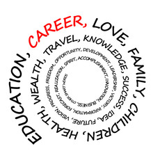 career and other life priorities