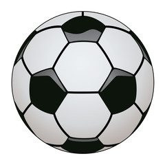 Fototapeta premium vector soccer ball