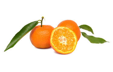 Fototapeta na wymiar two mandarins