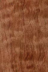 Wood texture