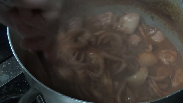 moscardini polpi
