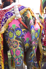 Obraz premium hand painted colorful elephant , Rajasthan, India