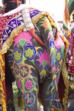 hand painted colorful elephant , Rajasthan, India